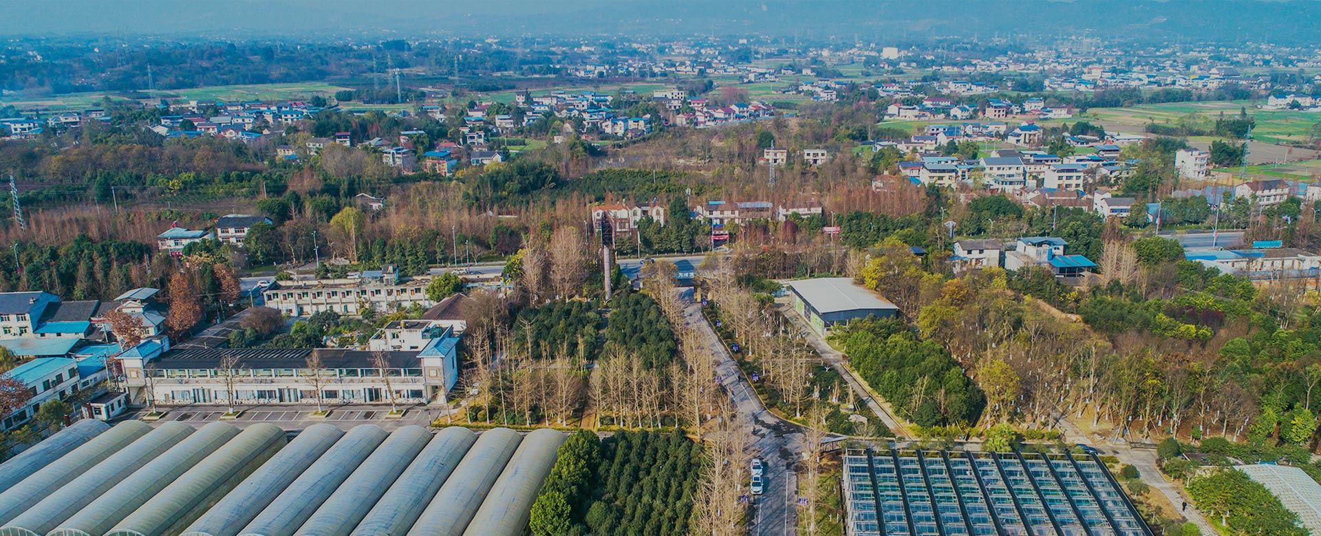 蔬菜品種育苗、示范推廣、基地種植、農(nóng)產(chǎn)品生產(chǎn)、加工 、銷(xiāo)售