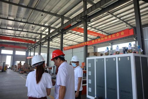 1噸燃氣蒸汽發(fā)生器哪個品牌